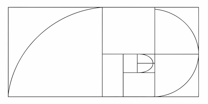 golden ratio spiral line illustration on white background mathematical geometry proportion fibonacci