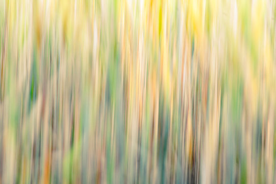 Abstract natural background with vertical motion blur