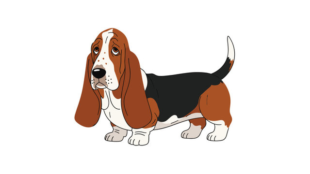 Cute illustration of a tricolor basset hound dog with classic long ears and a characteristic sad expression on its face.