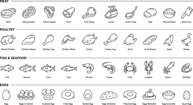 Culinary illustration variety of meat poultry seafood and egg line icons