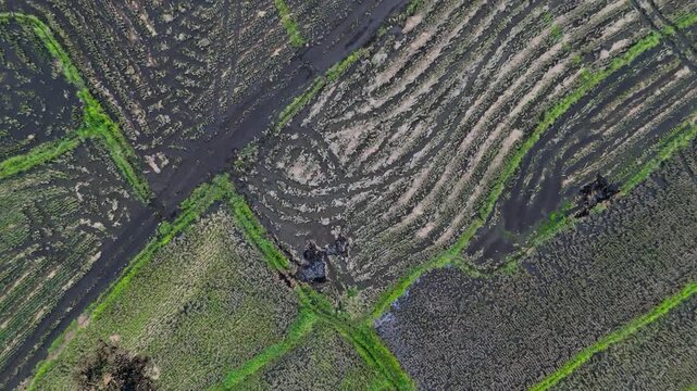 Close-up aerial view reveals terraced fields in orderly rows.Ideal for farming and nature projects.