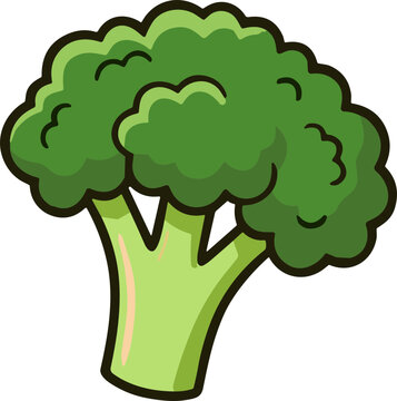 Cartoon Broccoli Florette - Fresh Green Vegetable Illustration