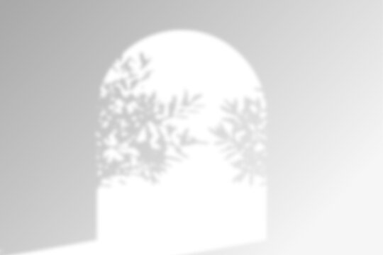 Arch window light spill with plant shadow overlay