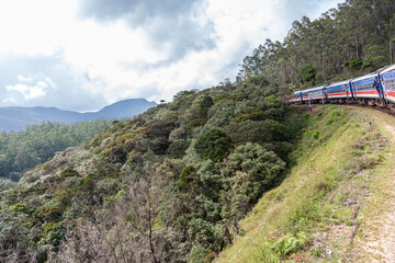 Naklejka premium train passing through a forest near Pattipola in the Uva Province of Sri Lanka