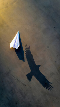 Conceptual image of a paper airplane casting a realistic bird shadow with airplane imagination creativity aspiration metaphor potential perspective achievement motivation inspiration