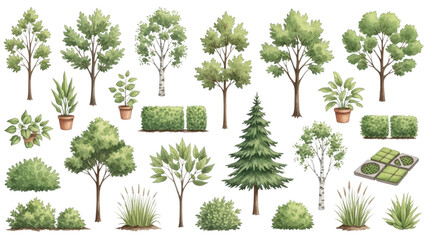 Fototapeta premium Urban Streetscape Tree and Landscape Vector Asset Pack for Architectural Site Planning