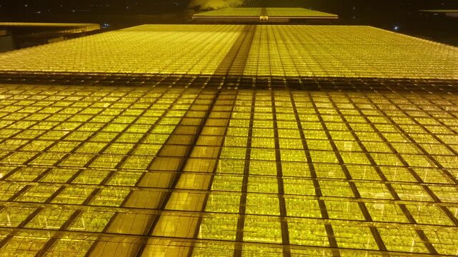 Vast illuminated greenhouse complex glowing amber at night, seen from above with endless glass roof grids, showcasing modern large-scale indoor farming and industrial horticulture.