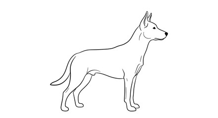 Fototapeta premium A black and white line art sketch depicts a standing dog in minimal outline on a white background.
