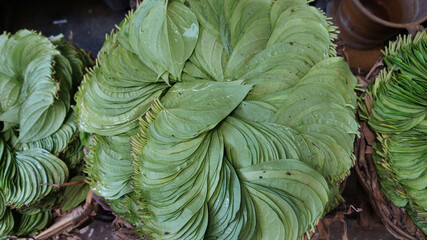 Betel leaves stacked in a vibrant green display, fresh and natural background © Ella Halbreich