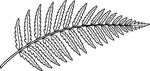 Outline drawing of a single fern frond with detailed leaf segments, isolated on white. © Sugar