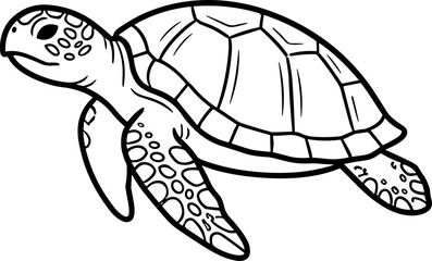 Fototapeta premium Line Art Sea Turtle Illustration - Simple Marine Animal Drawing
