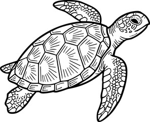 Fototapeta premium Sea Turtle Illustration - Black and White Line Art of a Swimming Turtle