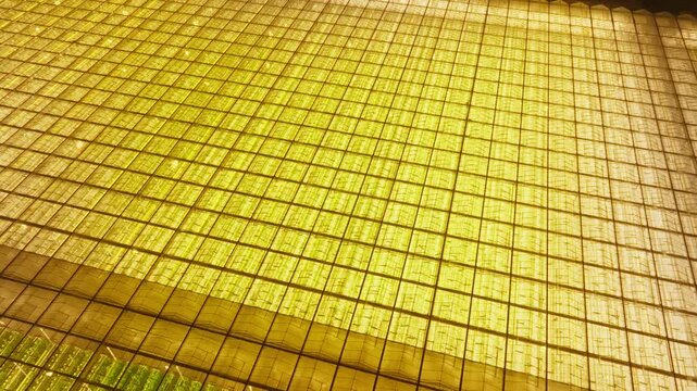 Illuminated greenhouse roof with glowing yellow glass panes and metal grid framework, shown from wide and close angles to highlight symmetry and geometric patterns at night.