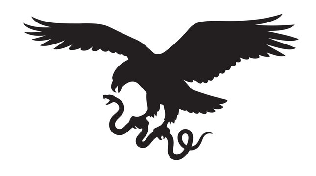 eagle attacking snake silhouette attack predator prey