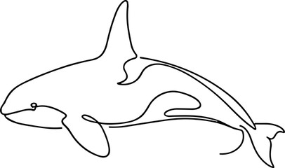 Continuous line drawing of a killer whale, orca silhouette, minimal ocean mammal art © Sugar