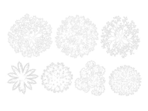 Top View Tree Symbol Collection &ndash; Light CAD Line Art Plan View Vectors with Editable Stroke White Fill and Large Canopy Varied Shapes for Site Plans
