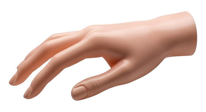 A human hand with fingers extended on transparent background