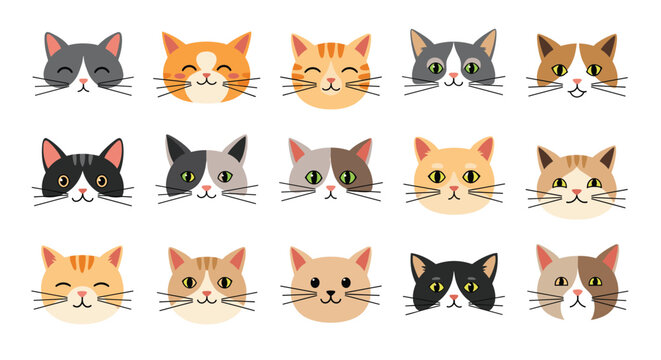 Grid collection of fifteen cute cat faces in different colors and breeds showing various expressions isolated on a white background for pet lovers.