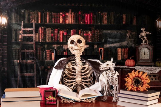 Autumn skeleton and dog reading book with hot cup of coffee and old library background