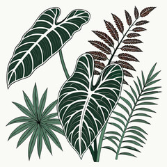 Collection of various tropical plant leaves including ferns and philodendron with tropical © tania