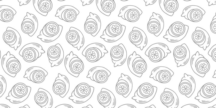 Lemon doodle fruit hand drawn vector illustrations set Citrus, orange wedge, tropical lime with crayon texture. Hand-drawn lemons create a fresh and zesty seamless line art pattern perfect for kitchen