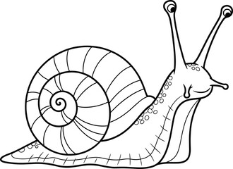 Simple line art illustration of a snail with a spiral shell, isolated on white. © keenan