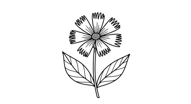 Black and white line art drawing of a single flower with serrated petals and two large leaves on a plain background.