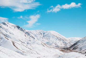 Obraz premium South Island, New Zealand: Scenic roadtrip view of pristine rolling alpine tussock hills covered in heavy white winter snow powder with copyspace.