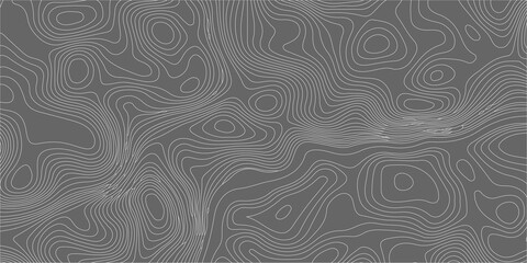 Topographic map background with abstract grey contours, thin winding lines pattern for geographic cartography design. A detailed topographic map pattern, thin light grey contour lines © Creative Lis