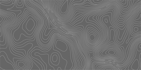 Topographic map background with abstract grey contours, thin winding lines pattern for geographic cartography design. A detailed topographic map pattern, thin light grey contour lines © Creative Lis