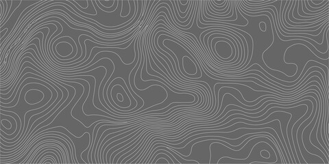 Topographic map background with abstract grey contours, thin winding lines pattern for geographic cartography design. A detailed topographic map pattern, thin light grey contour lines © Creative Lis