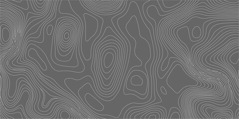 Topographic map background with abstract grey contours, thin winding lines pattern for geographic cartography design. A detailed topographic map pattern, thin light grey contour lines © Creative Lis