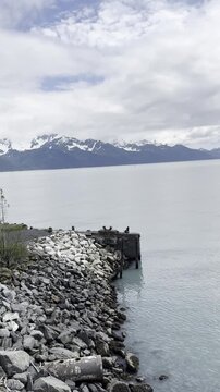 ALASKA SEA LIFE CENTER SEWARD, ALASKA
