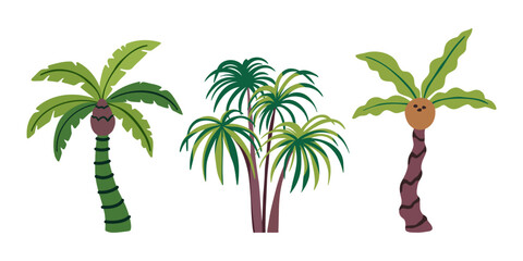 Obraz premium Palm tree vector illustration. Tropical trees set with green leaves and coconut. Exotic summer plant elements