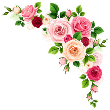 Roses corner design element. Red, pink, and white rose flowers corner border isolated on white. Vector illustration