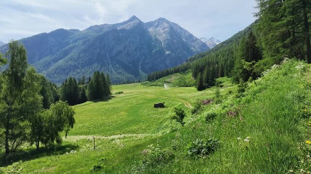 Panoramic view of beautiful Alpine landscape with green fields, pine forest and rock peaks during spring time. Lillaz, Cogne, Aosta Valley, Grand Paradis National Park.