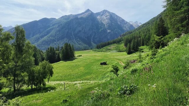 Panoramic view of beautiful Alpine landscape with green fields, pine forest and rock peaks during spring time. Lillaz, Cogne, Aosta Valley, Grand Paradis National Park.