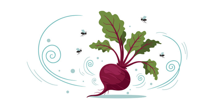 Purple beetroot vegetable with green leaves shown in a swirling windy atmosphere with small flies buzzing around it on white background.
