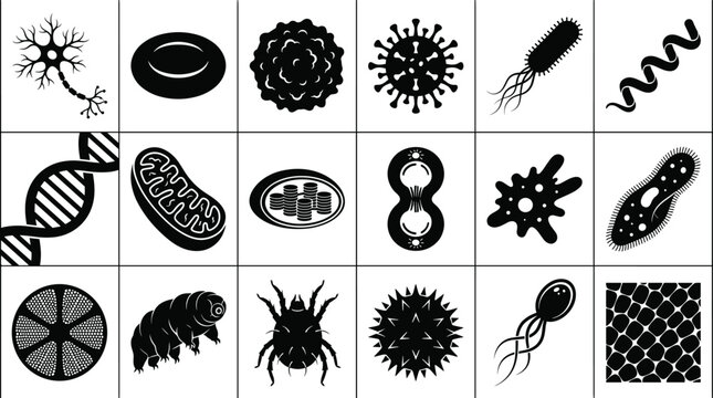 Microscopic biology silhouette collection with cells, microorganisms, DNA, organelles, and scientific structures in vector design