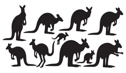 Kangaroo Silhouettes Set - Various Poses Vector © Madaheen