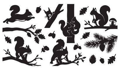 Squirrel Silhouettes and Forest Elements Vector Collection © Madaheen