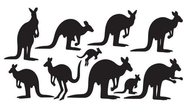 Kangaroo Silhouettes Set - Various Poses Vector