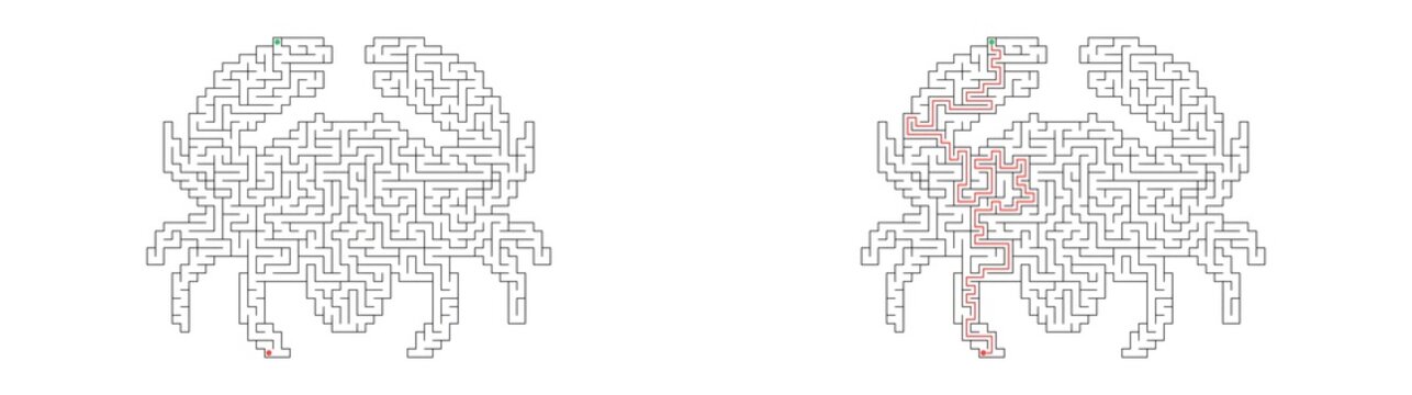 Maze Puzzle_combined Crab graphic design with intricate patterns and detailed illustration  