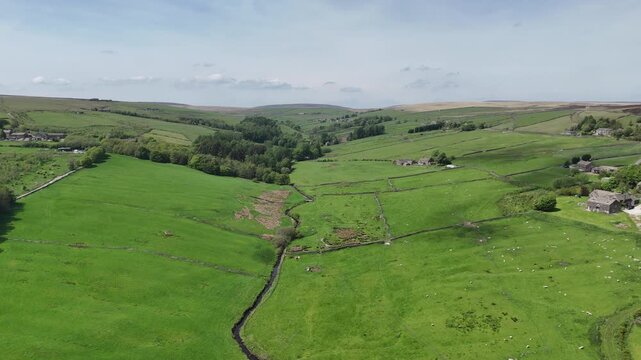 high aerial view of hebden water in Colden near heptonstall surrounded by grazing sheep in meadows and farmhouses