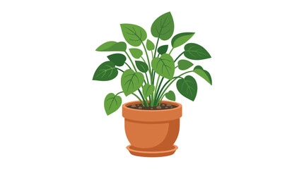 Obraz premium Indoor plant in a pot. Green leaf décor for home interiors. Foliage houseplant for rooms. Compact leafy eco décor, houseplant. Flat vector illustration set against a white background
