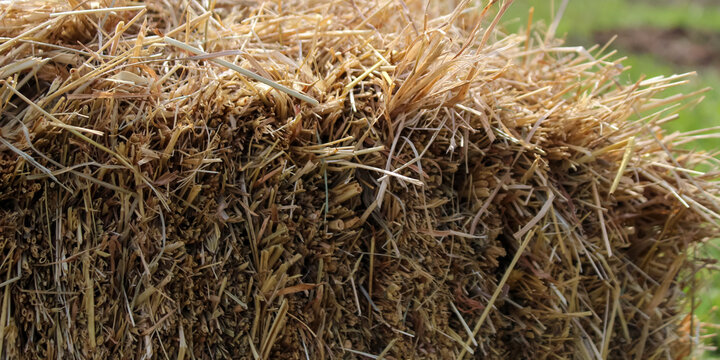 Close-up of a rustic rectangular straw bale outdoors, perfect for agricultural harvesting themes, autumn decorations, gardening mulch, and farm life concepts.