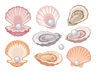 Assorted Seashells and Pearls on White Background oyster © VaskorChandra