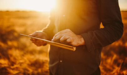 A young man stands with a digital tablet in a golden agricultural field. An experienced farmer works with a digital tablet at sunset. Concepts of farming, smart farming, and agriculture. © maxbelchenko