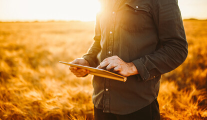 A young man stands with a digital tablet in a golden agricultural field. An experienced farmer works with a digital tablet at sunset. Concepts of farming, smart farming, and agriculture. © maxbelchenko