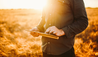 A young man stands with a digital tablet in a golden agricultural field. An experienced farmer works with a digital tablet at sunset. Concepts of farming, smart farming, and agriculture. © maxbelchenko